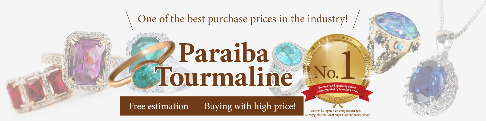 Purchase of paraiba tourmaline